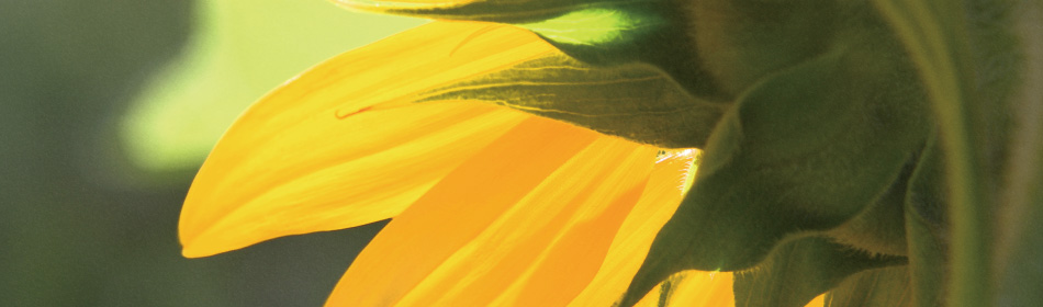 這是sample01的文字